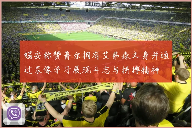 锡安称赞普尔拥有艾弗森文身并通过录像学习展现斗志与拼搏精神