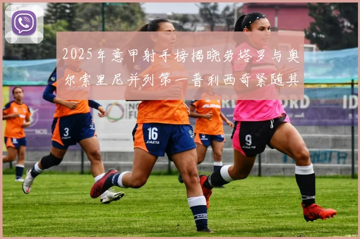 2025年意甲射手榜揭晓劳塔罗与奥尔索里尼并列第一普利西奇紧随其后
