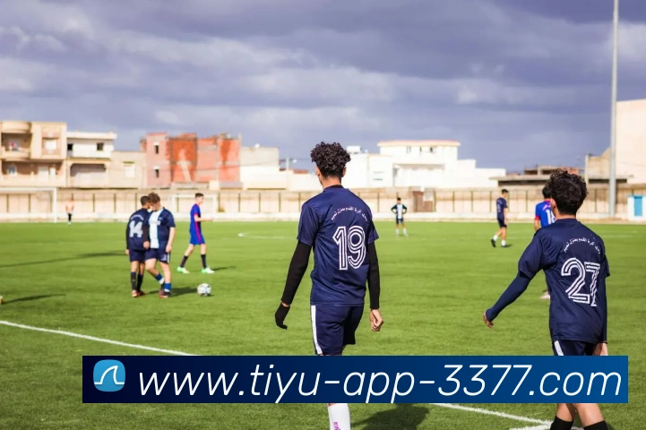 3377体育APP 封面图